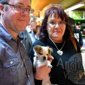 concours du plus beau chien du monde - photo 4941