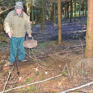 Jean-Marie Hamoir Jean-Marie Hamoir