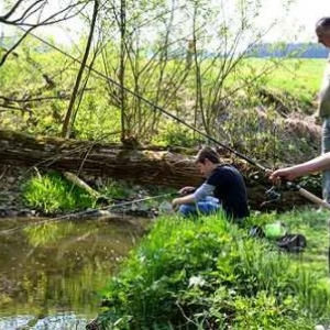 Concours de pêche à la truite sur la Wiltz