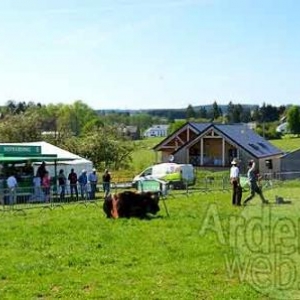 Willow Springs Western Festival - photo 2296 Willow Springs Western Festival - photo 2296