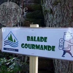 balade gourmande en Val de Salm