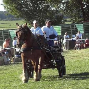 Fete du Cheval 2007-video 03