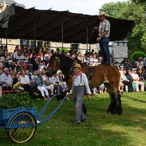 Fete des Myrtilles 2016 Vielsalm-Davin_2463