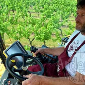 Audouin-2873 Audouin-2873