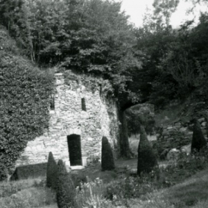 grosse tour pleine d'arbres en juillet 1965 grosse tour pleine d'arbres en juillet 1965