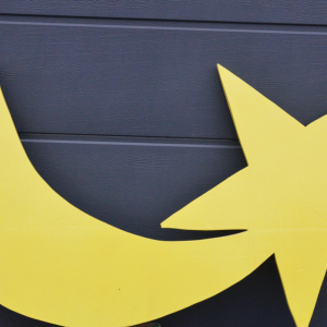 Etoile ,creche de noel