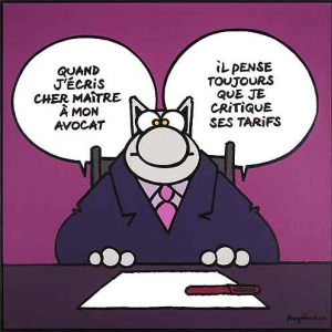 Philippe Geluk expose le Chat