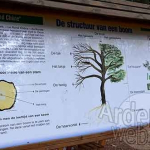 Le Rond Chene de Joseph Docquier Le Rond Chene de Joseph Docquier