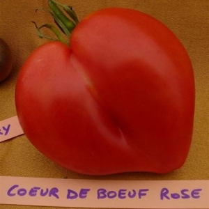 Fourons: fete de la tomate