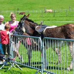 Willow Springs Western Festival - photo 2266 Willow Springs Western Festival - photo 2266