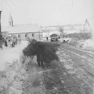 De la neige et du sang le nouveau livre de Eddy Monfort