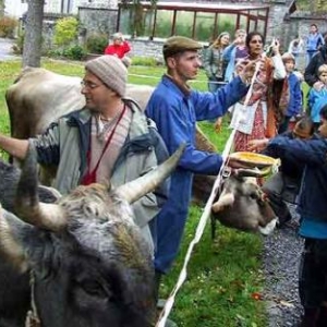 3062-video 01 3062-video 01