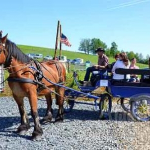 Willow Springs Western Festival - photo 2301