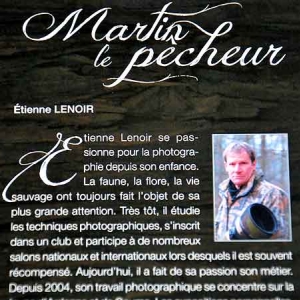 Martin le pecheur