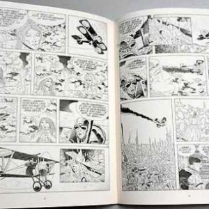 Ombre du corbeau Ombre du corbeau