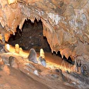 Les Nutons du Condroz Les Nutons du Condroz