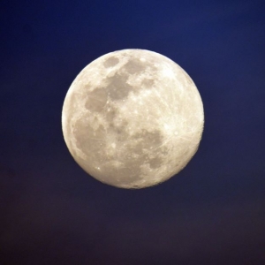 Jardiner avec la lune