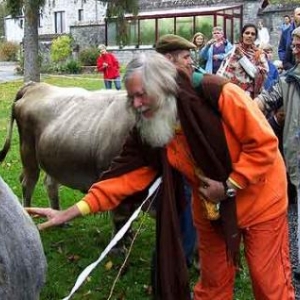 3059-video 01 3059-video 01