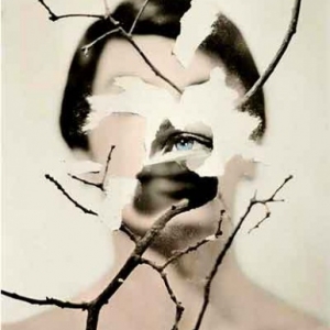 Photo de Hubert Grooteclaes Photo de Hubert Grooteclaes