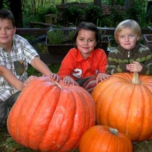 Aiseau. Congé de Toussaint: Halloween chez les Castors