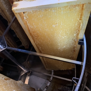 Des ruches sur le toit du Martin's Brussels EU 