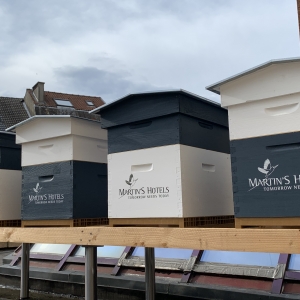 Des ruches sur le toit du Martin's Brussels EU 