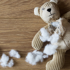 REPAIR CAFÉ à Houffalize