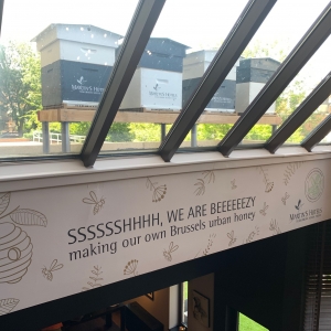 Des ruches sur le toit du Martin's Brussels EU 