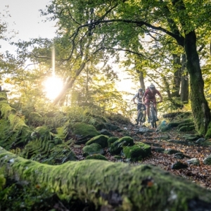 Le Stoneman Arduenna est "enfin arrivé en Belgique" Le Stoneman Arduenna est "enfin arrivé en Belgique"
