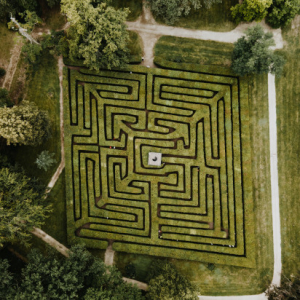 Labyrinthe © free royalty image