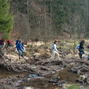Excursions à Houffalize au Pays des Castors avec Olivier Rubbers Excursions à Houffalize au Pays des Castors avec Olivier Rubbers