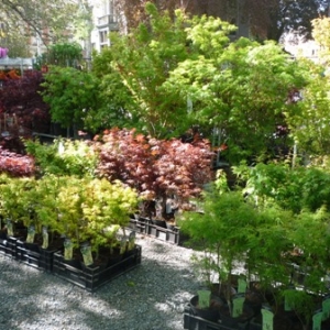 MALMEDY              15ème édition de la  Fête des Fleurs et du Jardin