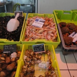 Marche aux poissons Marche aux poissons