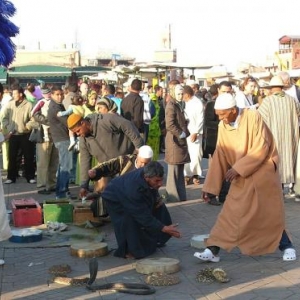 Charmeurs de serpents sur la place Djemaa - El - Fna Charmeurs de serpents sur la place Djemaa - El - Fna
