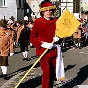 Province de Liège     Le Carnaval wallon