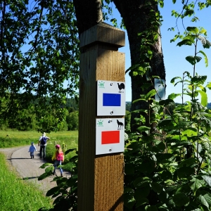 La signalétique ( N° de la promenade et symbole )