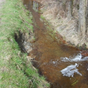 Reparation et protection de la berge du Barechin dont l' erosion menacait un chemin pres de Ville du Bois / Vielsalm (DST Province Luxembourg)