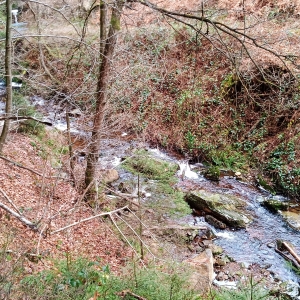 Un parcours piégeux ( Photo Detry )