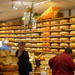 Alkmaar : de quoi faire son choix pour la prochaine raclette ! Alkmaar : de quoi faire son choix pour la prochaine raclette !