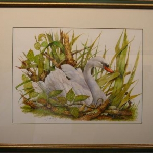 Jean de LEEUW ( Peinture animaliere ) 0494. 07 00 77