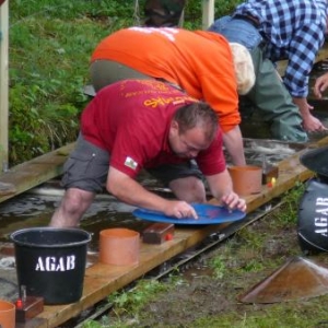 Recherche meticuleuse de la moindre paillette