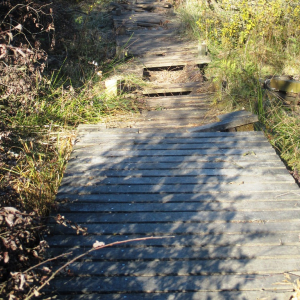 Caillebotis endommagés voire détruits ( photo Detry )