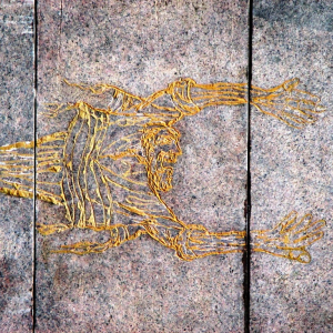 Le massacre de Paneriai ( Lituanie )  ( Photo F. Detry )