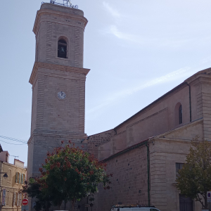 2007 Marseillan ( France ) ( Photo : F. Detry )