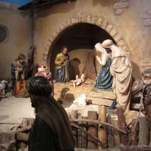 Krippana 2018 (  photo : F. Detry )