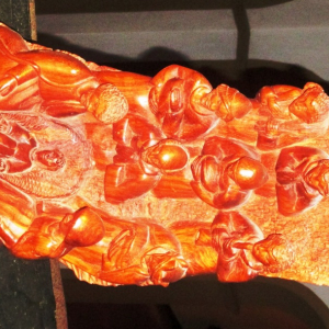 Krippana 2018 (  photo : F. Detry )