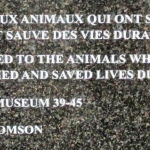 Remember Museum à Clermont ( photo : F. Detry ) Remember Museum à Clermont ( photo : F. Detry )