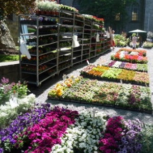 MALMEDY              15ème édition de la  Fête des Fleurs et du Jardin