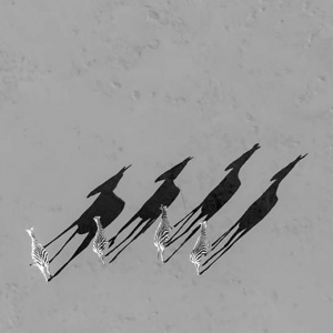 20 Suivis par des ombres © Haiquan Xiang - Drone Awards 2020 20 Suivis par des ombres © Haiquan Xiang - Drone Awards 2020