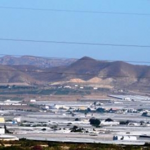 AW 020 007 Province d Almeria : des serres plastiques a perte de vue ( cultures maraicheres : tomates, fraises, ...)